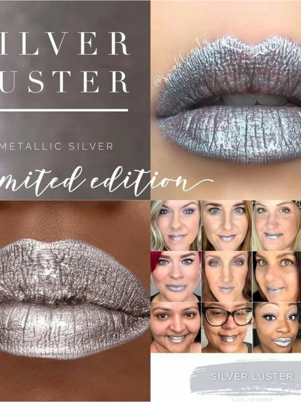 SeneGence Silver Luster Metallic Lipsense— Shimmering Silver